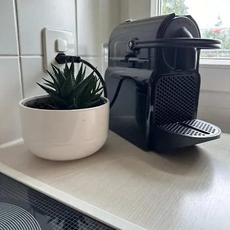 Casa Alexandra 公寓 阿罗萨